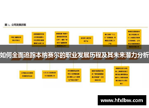 如何全面追踪本纳赛尔的职业发展历程及其未来潜力分析