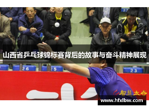 山西省乒乓球锦标赛背后的故事与奋斗精神展现